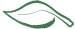 Eco Montana Logo